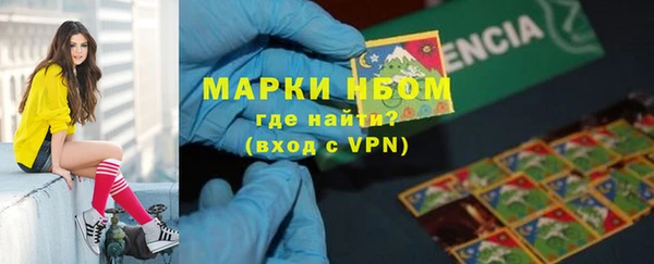 шишки Аркадак