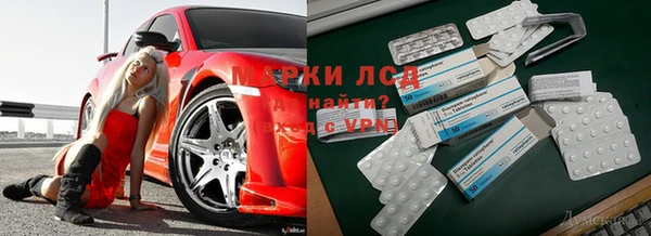 шишки Аркадак