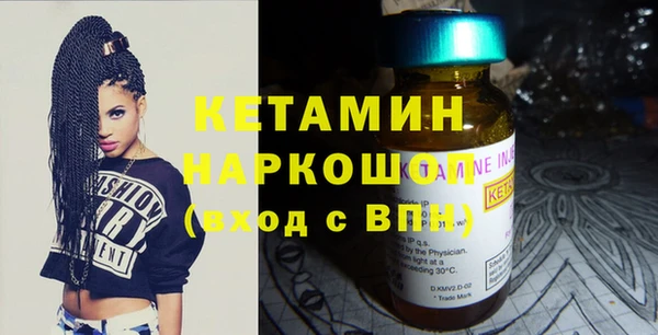 шишки Аркадак