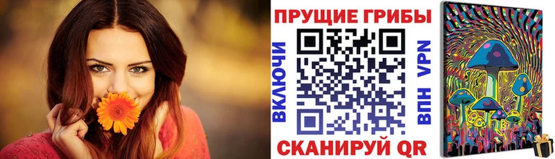 Псилоцибиновые грибы Magic Shrooms  сколько стоит  Новодвинск 