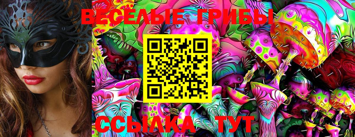 где продают наркотики  Новодвинск  Галлюциногенные грибы ЛСД 