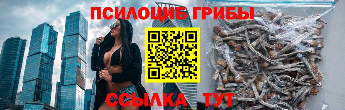 Галлюциногенные грибы MAGIC MUSHROOMS  Вход с VPN  Новодвинск 