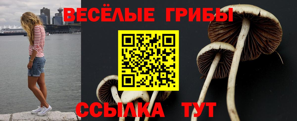 Галлюциногенные грибы Cubensis Новодвинск