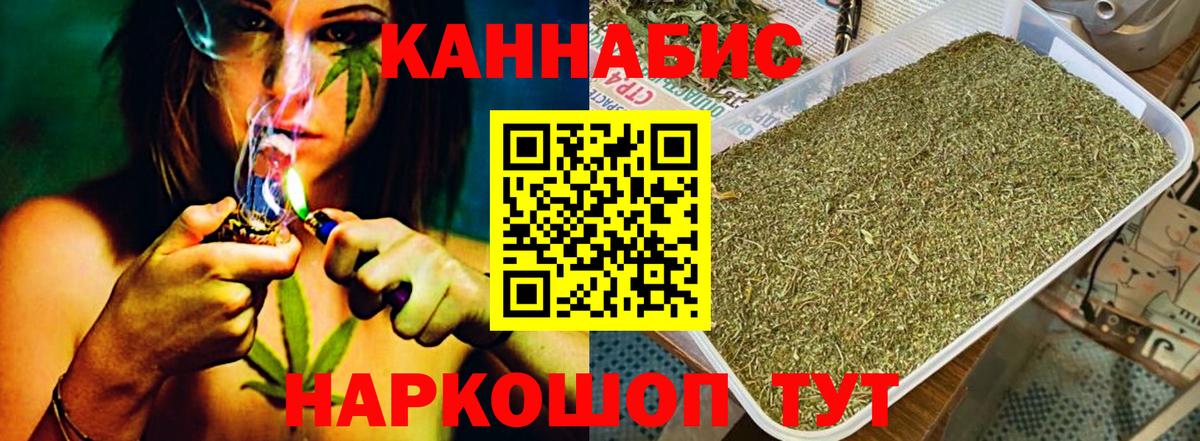 Марихуана план  Новодвинск  Каннабис конопля  Шишки марихуана OG Kush 